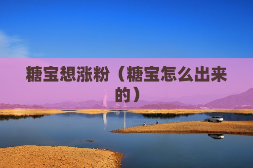 糖宝想涨粉（糖宝怎么出来的）