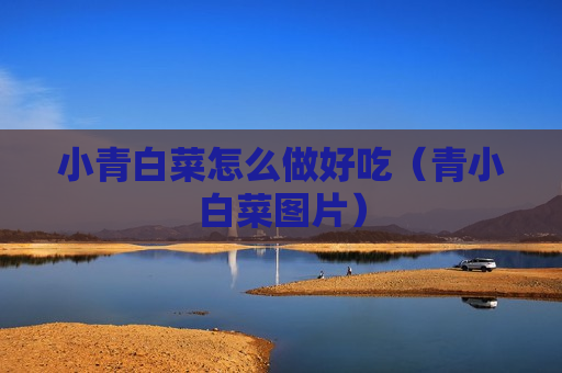 小青白菜怎么做好吃（青小白菜图片）