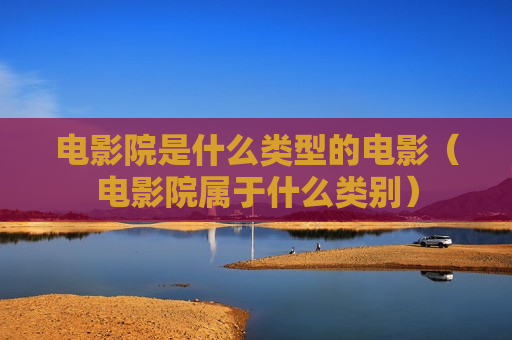 电影院是什么类型的电影（电影院属于什么类别）