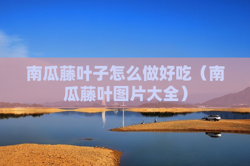 南瓜藤叶子怎么做好吃（南瓜藤叶图片大全）