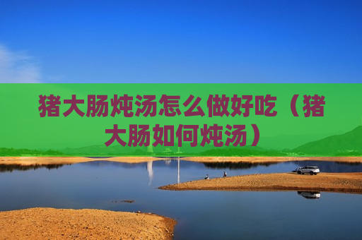 猪大肠炖汤怎么做好吃（猪大肠如何炖汤）