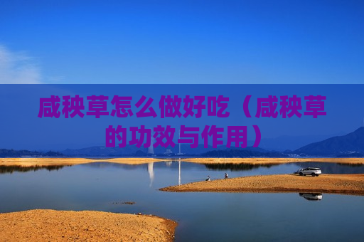 咸秧草怎么做好吃（咸秧草的功效与作用）