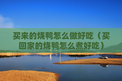 买来的烧鸭怎么做好吃（买回家的烧鸭怎么煮好吃）