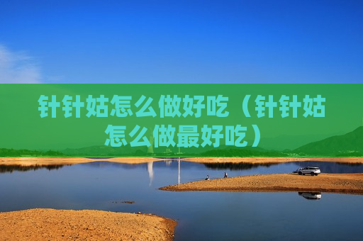 针针姑怎么做好吃（针针姑怎么做最好吃）
