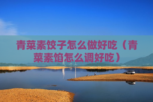 青菜素饺子怎么做好吃（青菜素馅怎么调好吃）