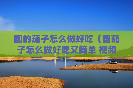 圆的茄子怎么做好吃（圆茄子怎么做好吃又简单 视频教程）