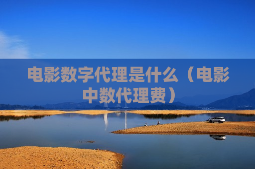 电影数字代理是什么（电影中数代理费）