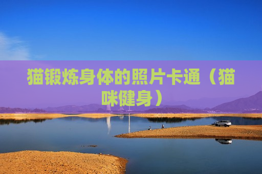 猫锻炼身体的照片卡通（猫咪健身）