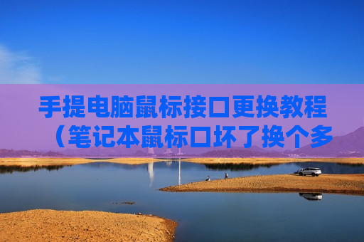 手提电脑鼠标接口更换教程（笔记本鼠标口坏了换个多少）