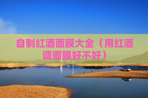 自制红酒面膜大全（用红酒调面膜好不好）