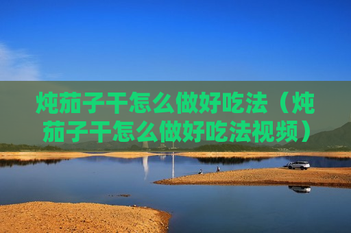 炖茄子干怎么做好吃法（炖茄子干怎么做好吃法视频）