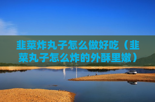 韭菜炸丸子怎么做好吃（韭菜丸子怎么炸的外酥里嫩）