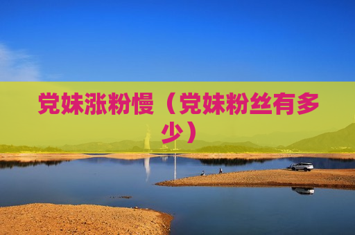 党妹涨粉慢（党妹粉丝有多少）