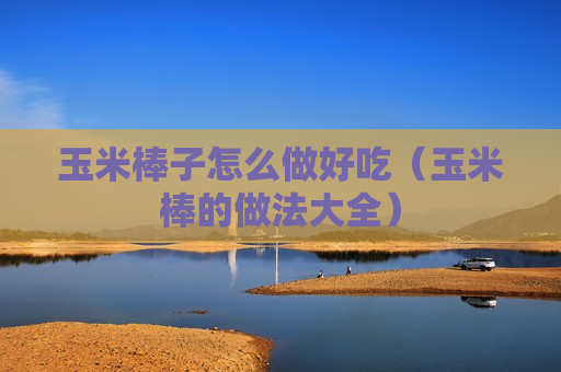 玉米棒子怎么做好吃（玉米棒的做法大全）