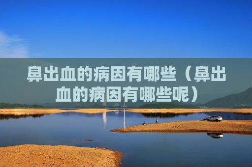 鼻出血的病因有哪些（鼻出血的病因有哪些呢）