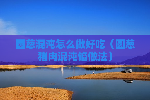 圆葱混沌怎么做好吃（圆葱猪肉混沌馅做法）