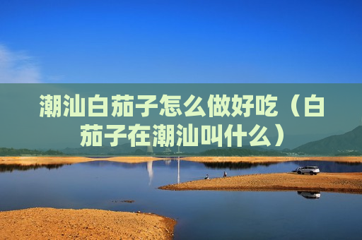 潮汕白茄子怎么做好吃（白茄子在潮汕叫什么）