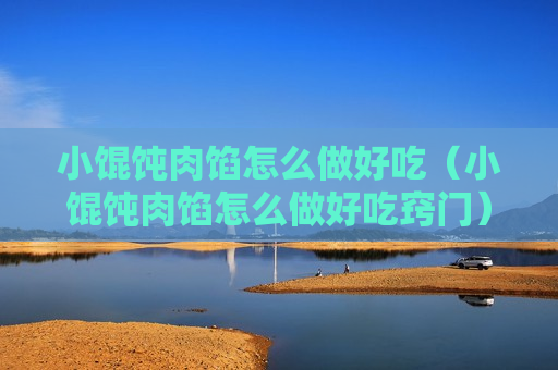 小馄饨肉馅怎么做好吃（小馄饨肉馅怎么做好吃窍门）