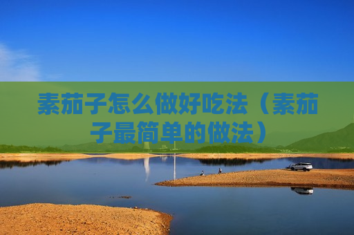 素茄子怎么做好吃法（素茄子最简单的做法）