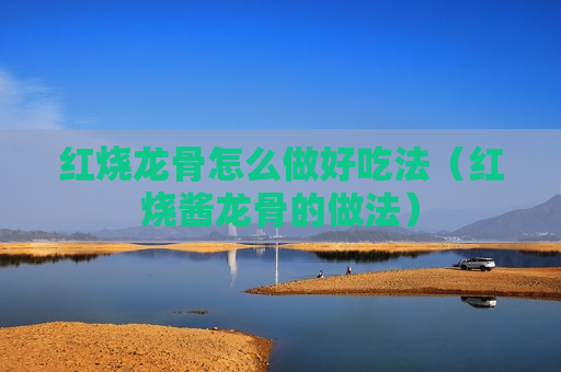 红烧龙骨怎么做好吃法（红烧酱龙骨的做法）
