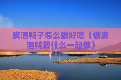 皮酒鸭子怎么做好吃（做皮酒鸭放什么一起做）