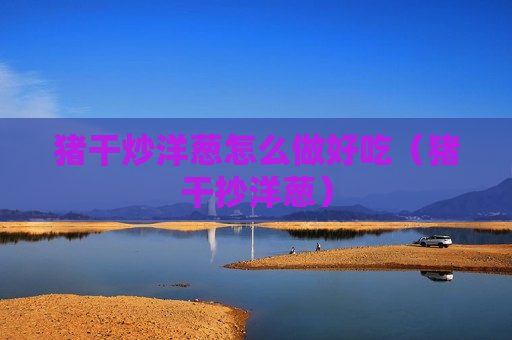 猪干炒洋葱怎么做好吃（猪干抄洋葱）