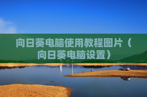向日葵电脑使用教程图片（向日葵电脑设置）