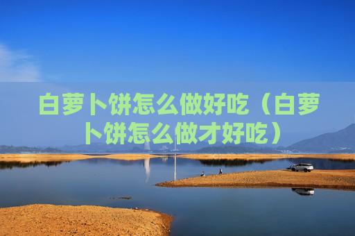 白萝卜饼怎么做好吃（白萝卜饼怎么做才好吃）