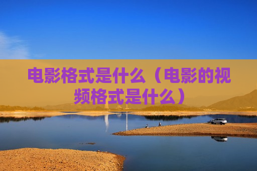 电影格式是什么（电影的视频格式是什么）