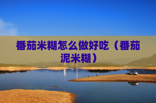 番茄米糊怎么做好吃（番茄泥米糊）