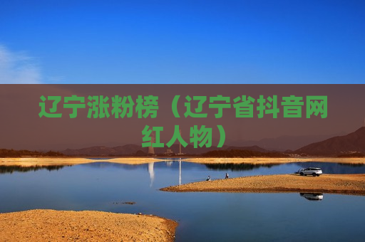 辽宁涨粉榜（辽宁省抖音网红人物）