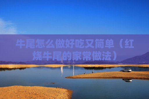 牛尾怎么做好吃又简单（红烧牛尾的家常做法）