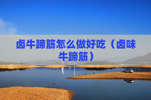卤牛蹄筋怎么做好吃（卤味牛蹄筋）