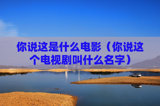 你说这是什么电影（你说这个电视剧叫什么名字）