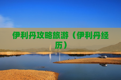 伊利丹攻略旅游（伊利丹经历）