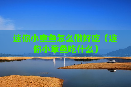 迷你小章鱼怎么做好吃（迷你小章鱼吃什么）