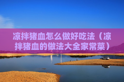 凉拌猪血怎么做好吃法（凉拌猪血的做法大全家常菜）