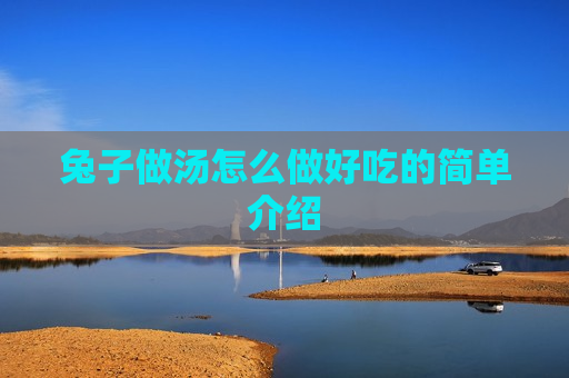 兔子做汤怎么做好吃的简单介绍