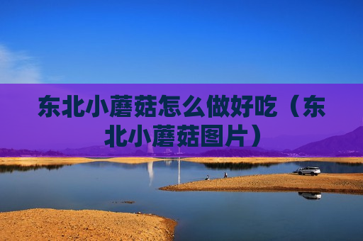 东北小蘑菇怎么做好吃（东北小蘑菇图片）