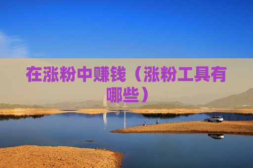 在涨粉中赚钱（涨粉工具有哪些）