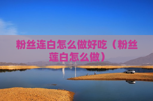 粉丝连白怎么做好吃（粉丝莲白怎么做）
