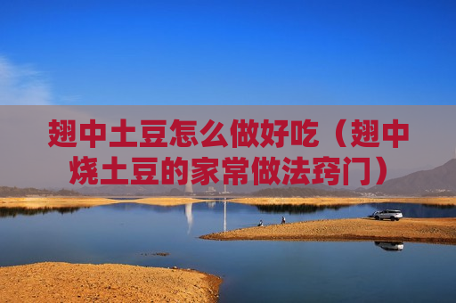 翅中土豆怎么做好吃（翅中烧土豆的家常做法窍门）