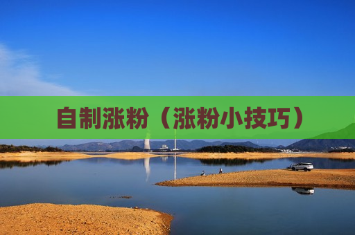 自制涨粉（涨粉小技巧）