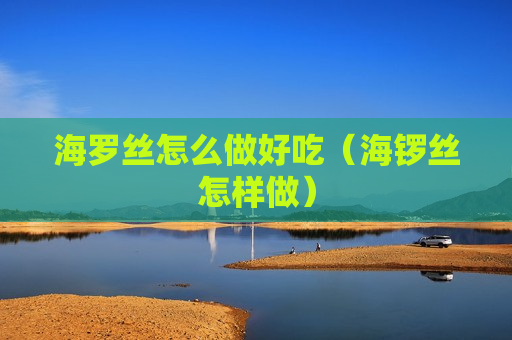 海罗丝怎么做好吃（海锣丝怎样做）