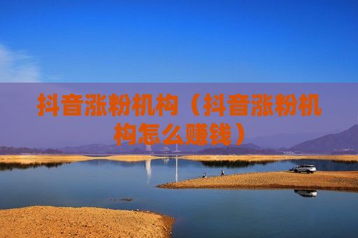 抖音涨粉机构（抖音涨粉机构怎么赚钱）