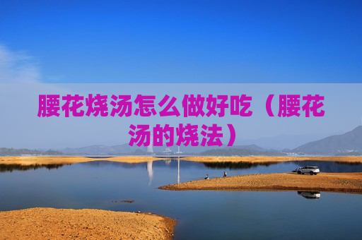 腰花烧汤怎么做好吃（腰花汤的烧法）
