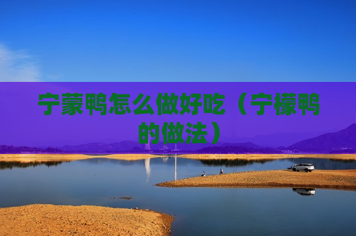 宁蒙鸭怎么做好吃（宁檬鸭的做法）