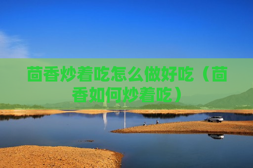 茴香炒着吃怎么做好吃（茴香如何炒着吃）