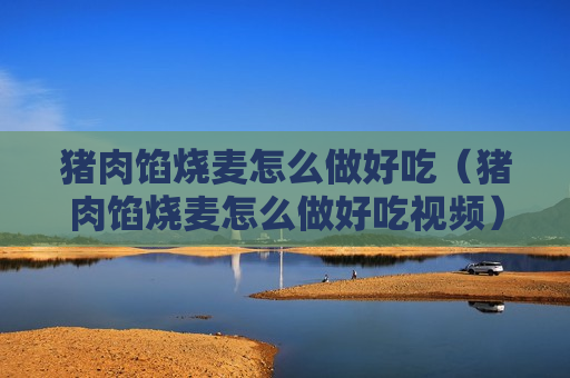 猪肉馅烧麦怎么做好吃（猪肉馅烧麦怎么做好吃视频）