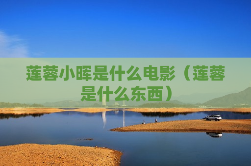 莲蓉小晖是什么电影（莲蓉是什么东西）